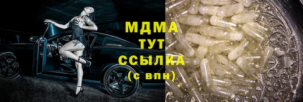 индика Вязьма