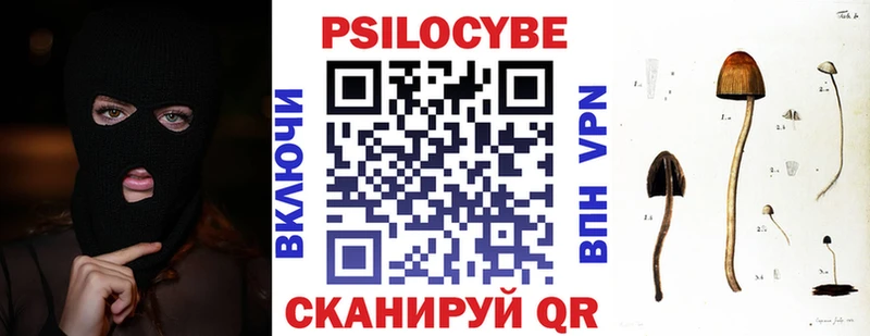 Псилоцибиновые грибы мухоморы  наркота  Белорецк 