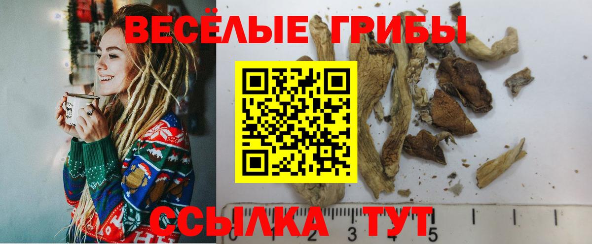 Псилоцибиновые грибы Psilocybe  Белорецк 